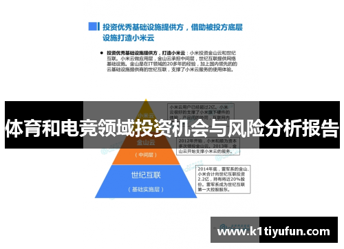 体育和电竞领域投资机会与风险分析报告